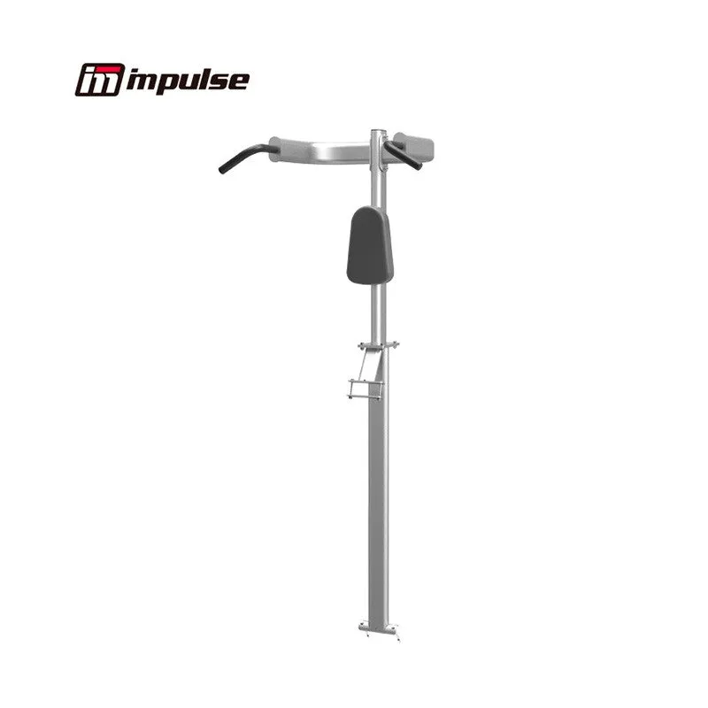 IT7010 Verticle Knee Raise w/Chin-up and Dip